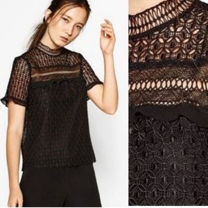 NWOT Zara Woman Guipure Lace Black Mock Neck Top